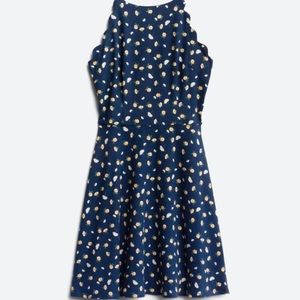 Scallop Detail Knit Dress